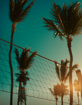 Volley Ball