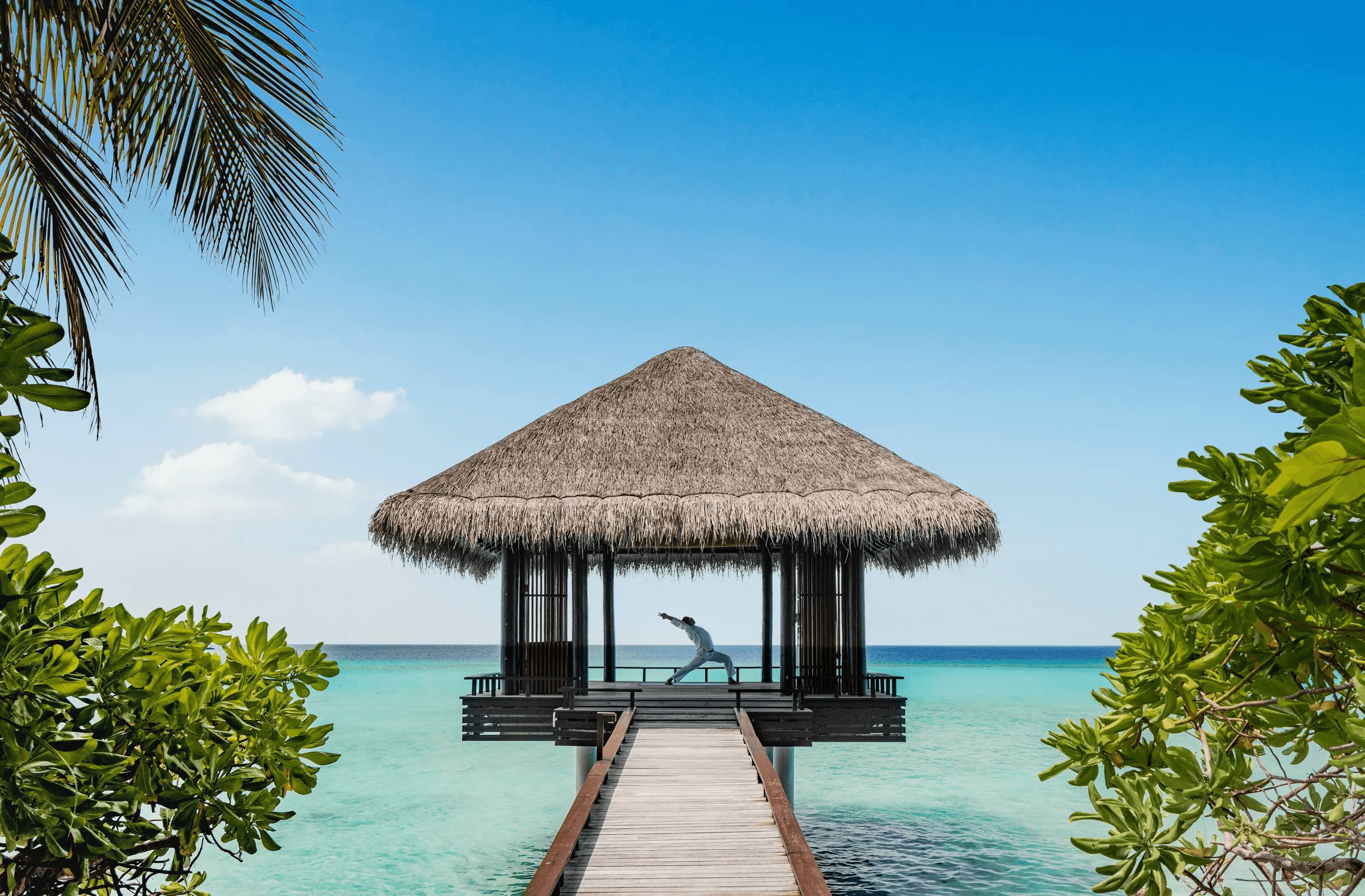 Yoga and Wellness Space